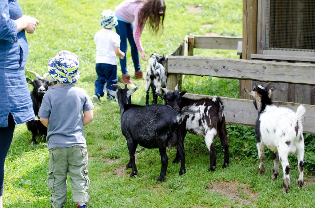 Kinderhotel Appelhof Mürzsteg Exteriér fotografie