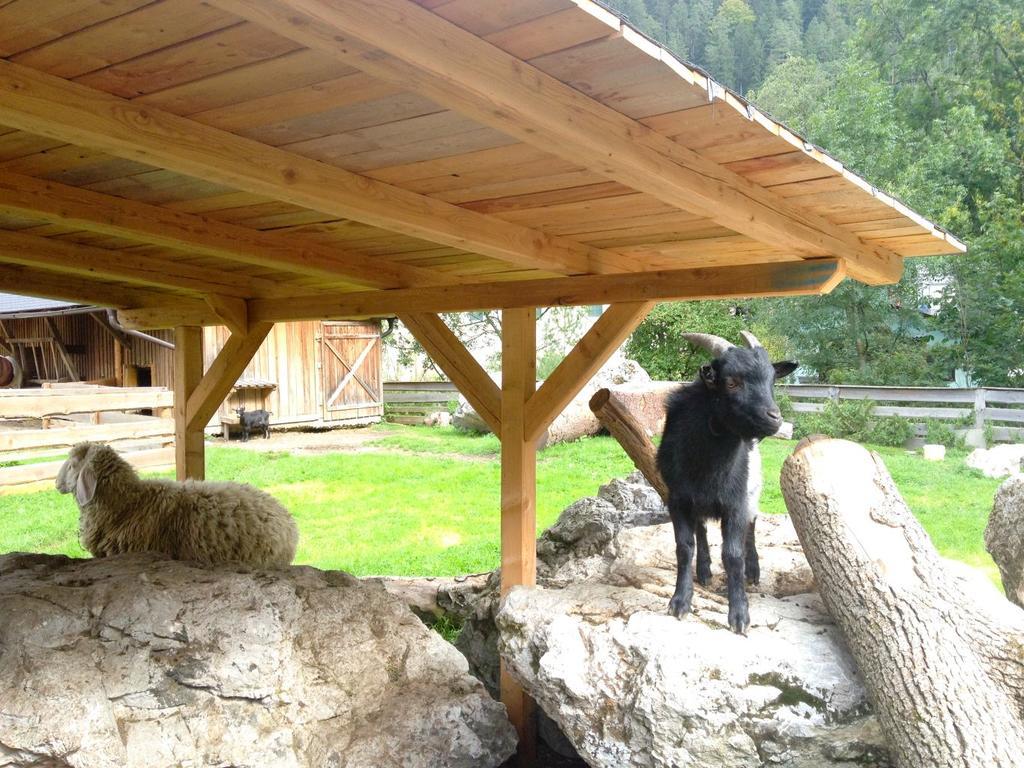 Kinderhotel Appelhof Mürzsteg Exteriér fotografie