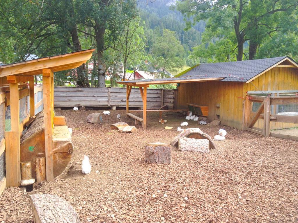 Kinderhotel Appelhof Mürzsteg Exteriér fotografie