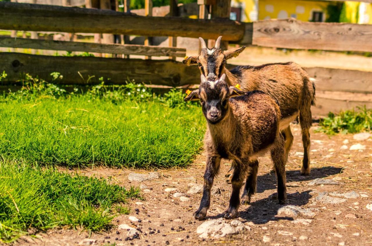 Kinderhotel Appelhof Mürzsteg Exteriér fotografie