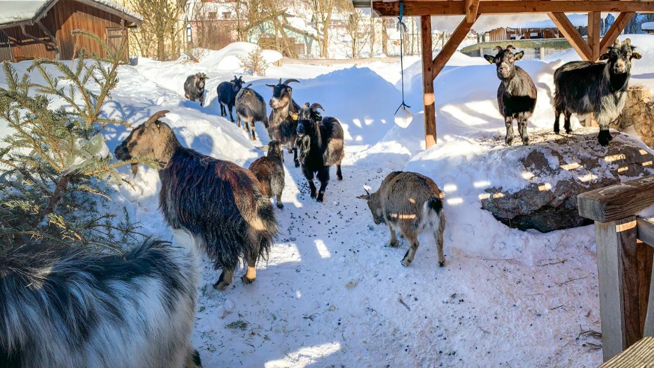 Kinderhotel Appelhof Mürzsteg Exteriér fotografie