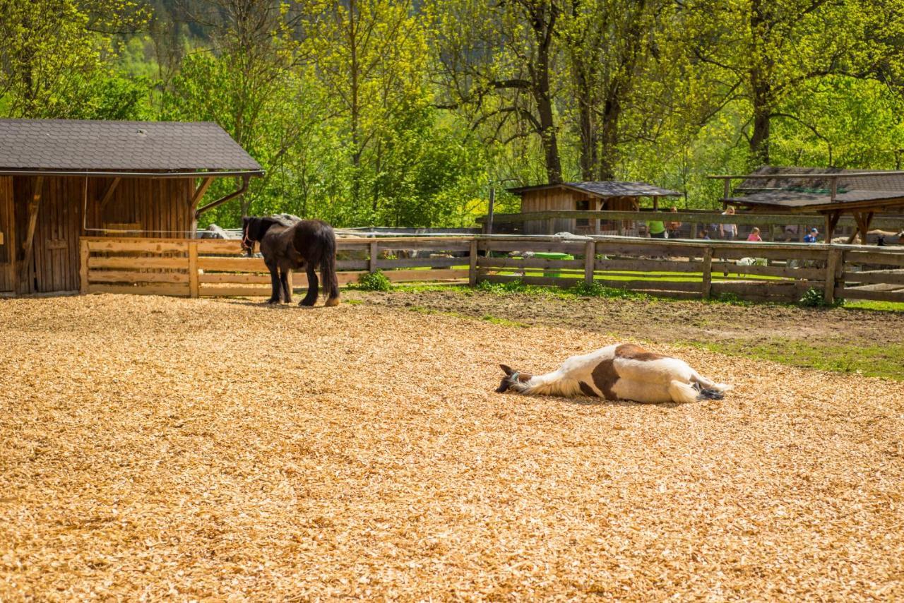 Kinderhotel Appelhof Mürzsteg Exteriér fotografie