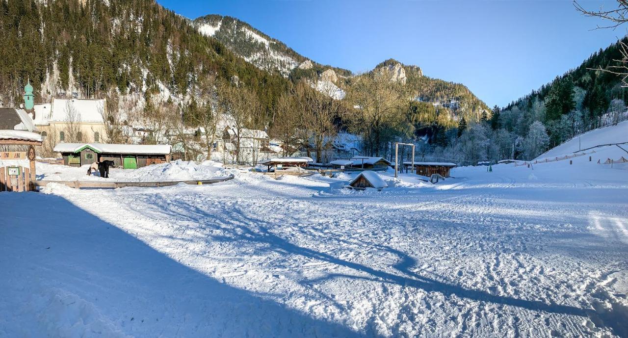 Kinderhotel Appelhof Mürzsteg Exteriér fotografie