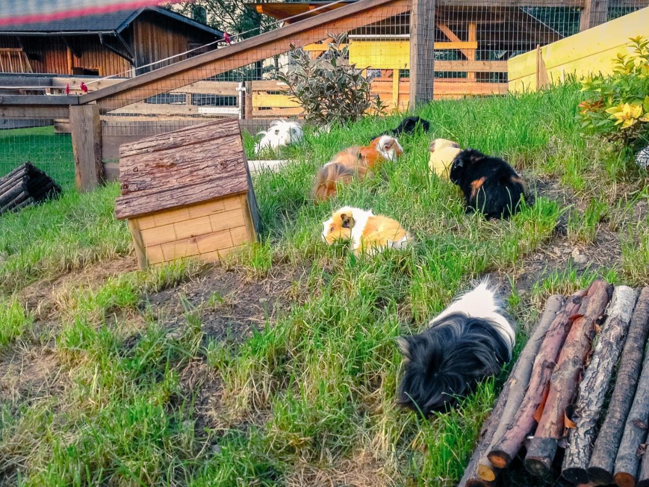 Kinderhotel Appelhof Mürzsteg Exteriér fotografie
